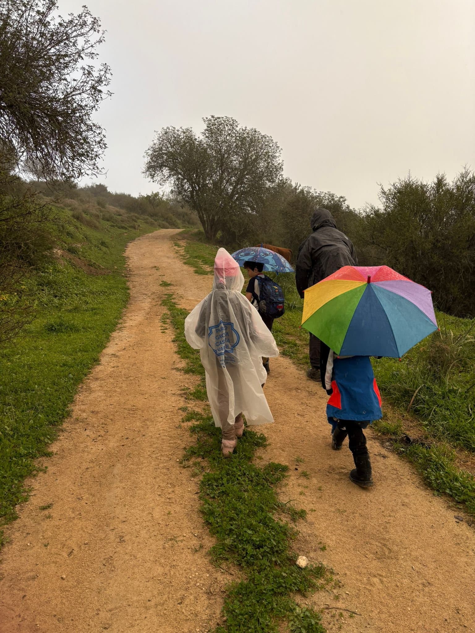שביל מגידו